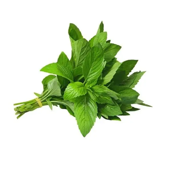 جرزة نعنع