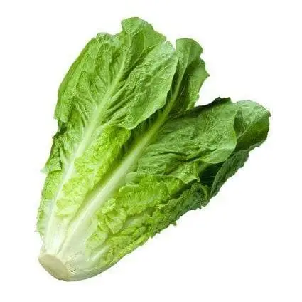 خسة